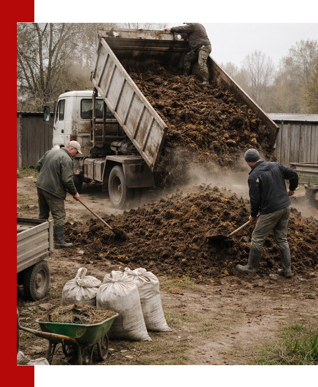 Доставка коровьего навоза самосвалом в Соликамске